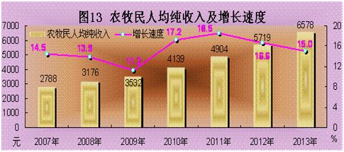    ͼ13 ũ˾뼰ٶȣ20072013꣩