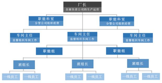 图4 福特公司直线职能制组织形式结构图
