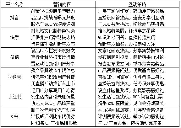 表2 W车企某阶段新媒体营销策略概览表