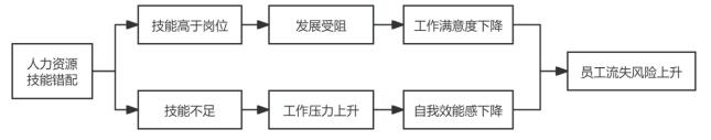 图1 人力资源错配对于员工个体的微观影响