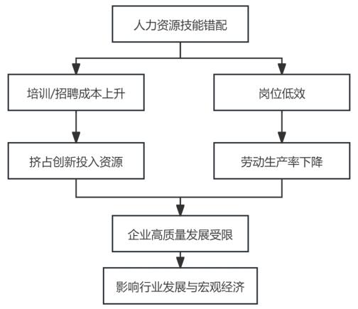 图2 人力资源技能错配对组织及宏观层面的影响