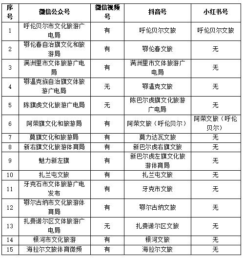 表2 呼伦贝尔市宣传矩阵情况