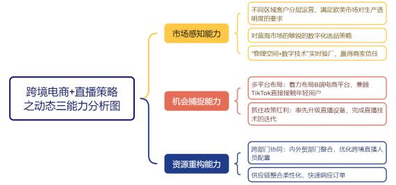 图2 宁波贝克莱恩企业动态三能力策略分析图