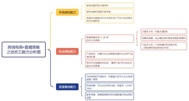 图3 杭州麦瑞克企业动态三能力策略分析图