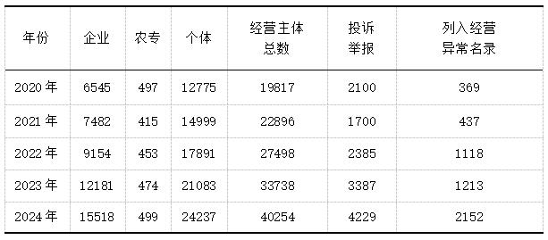 表1 2019年—2024年经营主体情况