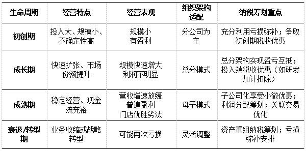 表1 不同生命周期核心特征与组织架构、纳税筹划关系